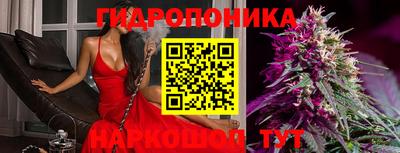 мяу мяу мука Славгород