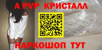гашик Сланцы