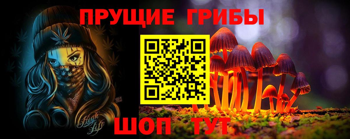 Галлюциногенные грибы Psilocybine cubensis  Вход с VPN  продажа наркотиков  Подольск 