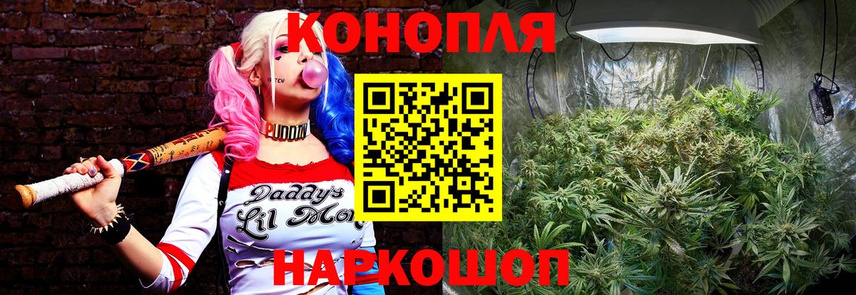 Каннабис VHQ  Марихуана семена  Подольск  Каннабис марихуана  Вход с VPN  Шишки марихуана сатива 